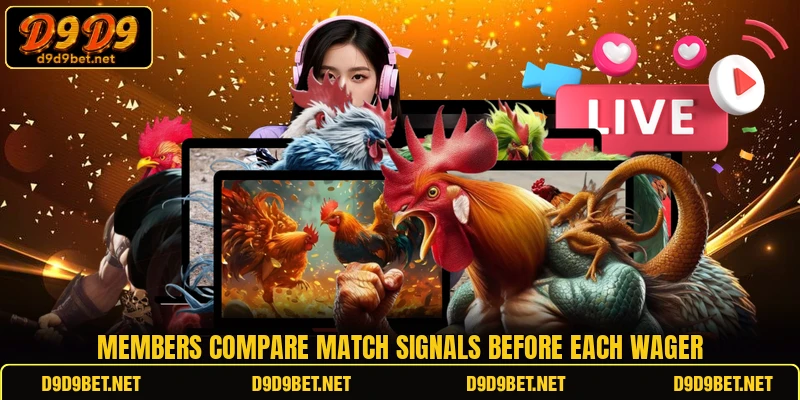 Members compare match signals before each wager