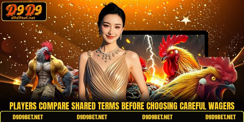 Players compare shared terms before choosing careful wagers