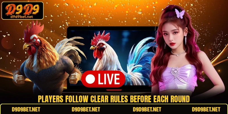 Players follow clear rules before each round